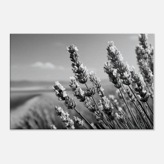 f7c3a0e0-3e60-4786-9d78-11932207b228