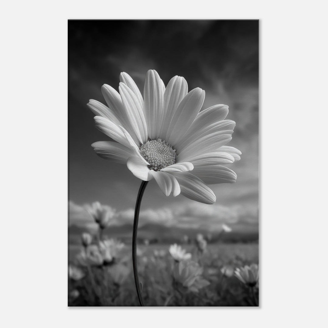 f926c5c2-08c7-4dd6-a468-bc534a181522