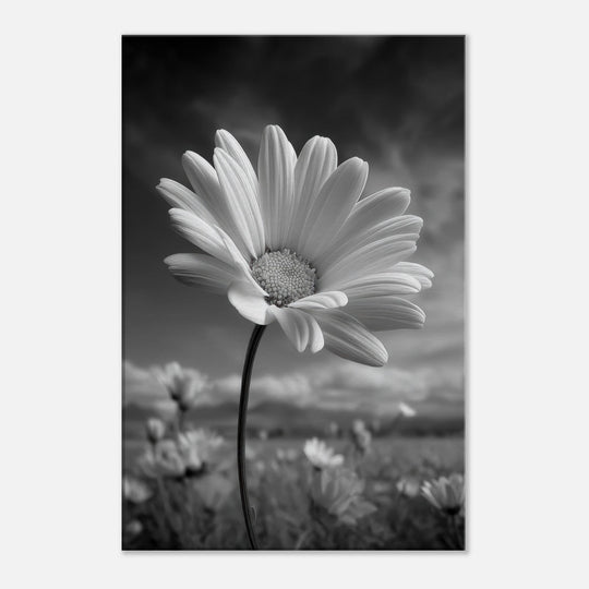 f926c5c2-08c7-4dd6-a468-bc534a181522