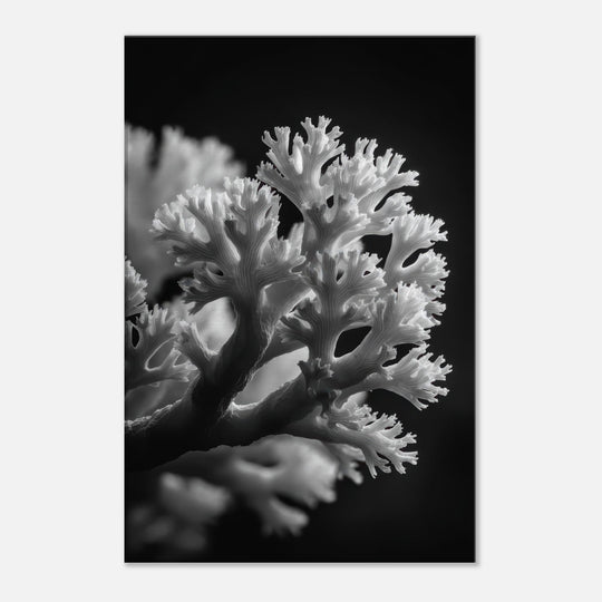 f957189f-ddf9-4471-bc52-7908e3c2447a