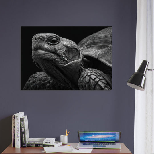 f9b2f4ab-66d6-48d9-abae-073ee93f86a7