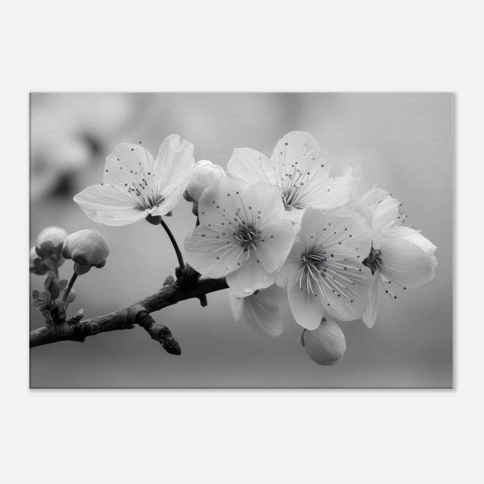 f9c09371-d23a-41a9-b0e1-41d906959c45