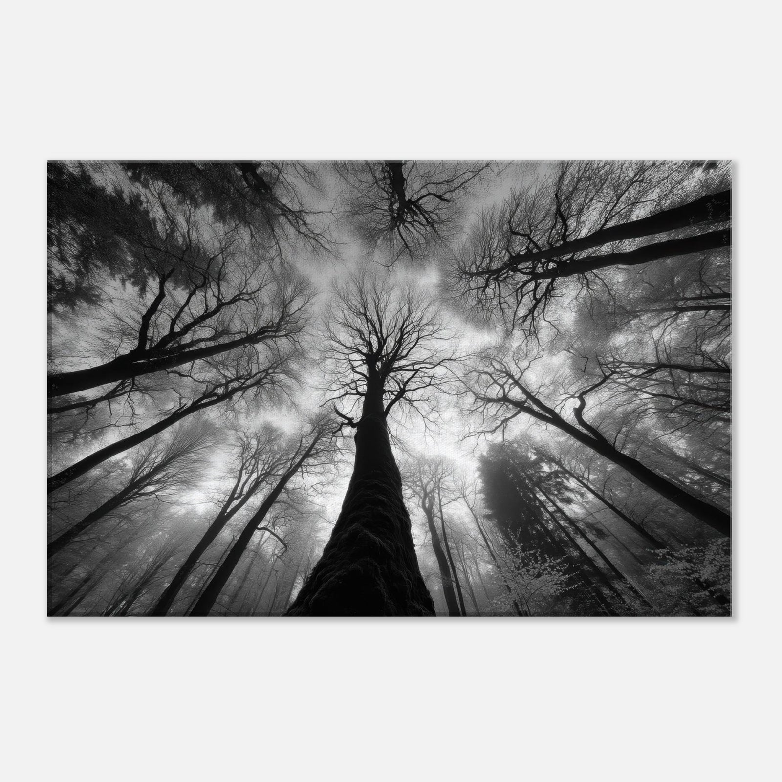 fa7c98bd-beb1-43ac-883f-16d1ad83d4ab