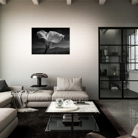 fa91204a-90fa-49a9-9056-7ac9669d360f