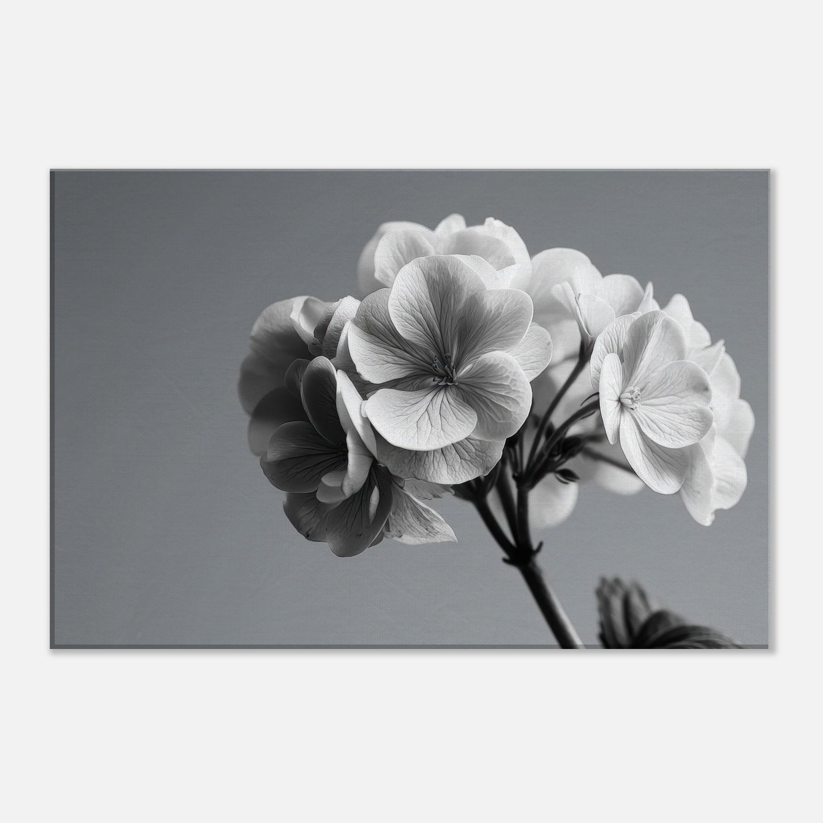 fac49364-c8cb-4031-b11c-03d257e72680