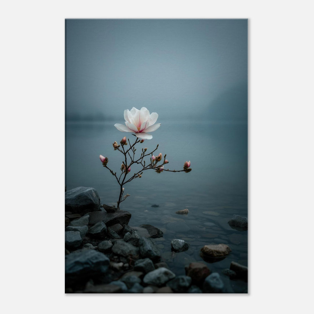 fada3326-012f-4452-a8d8-8f01137b8491