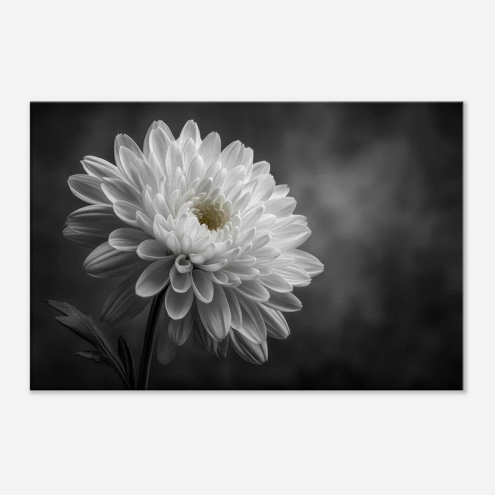 fb373f98-55bd-40f7-a374-56ba4e4d9793