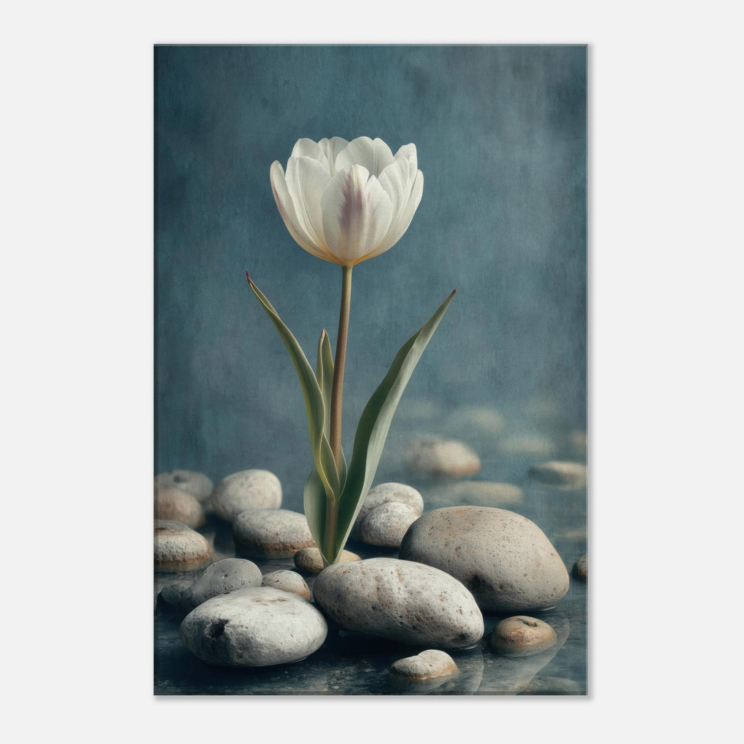 fb994305-cfdb-4e95-aaf1-24e2220e2241