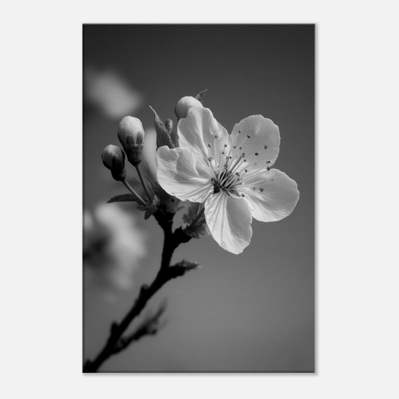 fbe575da-175d-4102-beae-7de2aa9cc33b