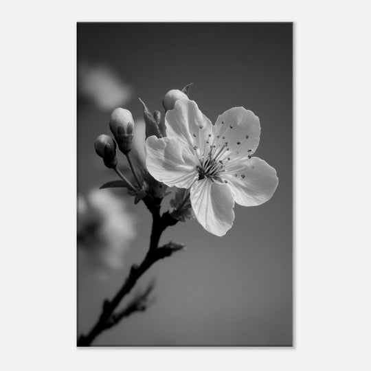 fbe575da-175d-4102-beae-7de2aa9cc33b