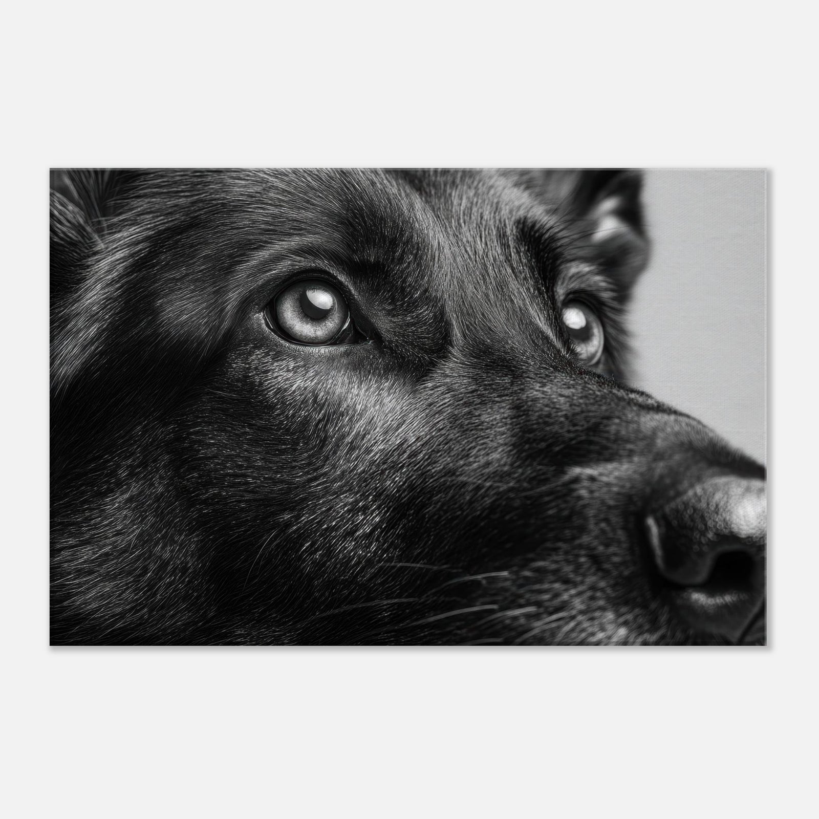 fc452993-67af-488d-8dba-d05224c476d4