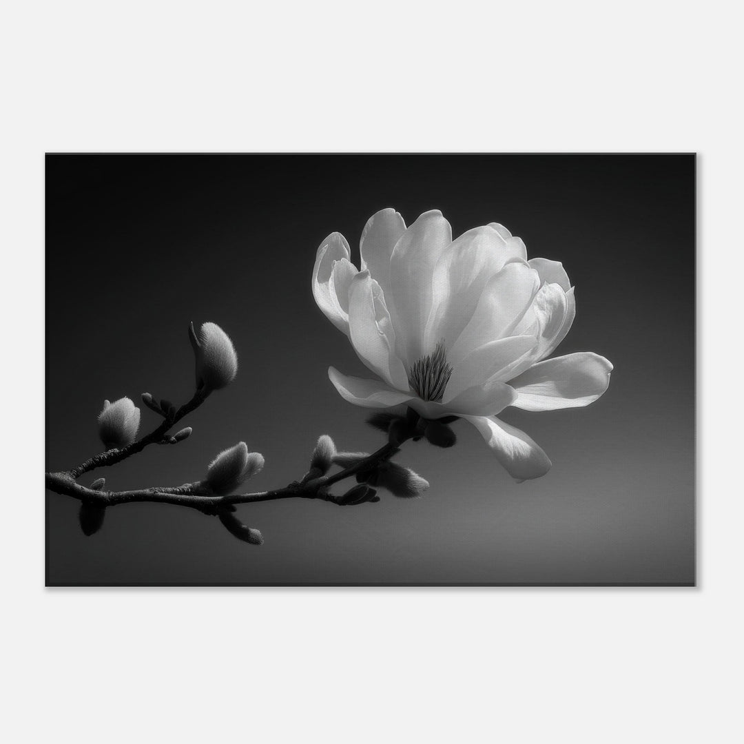 fc55f96a-8558-4468-a300-1c046b2b91bf