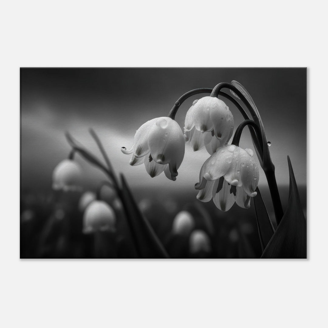 fdf520e8-bf9d-4093-bb05-033ba6fd47ec