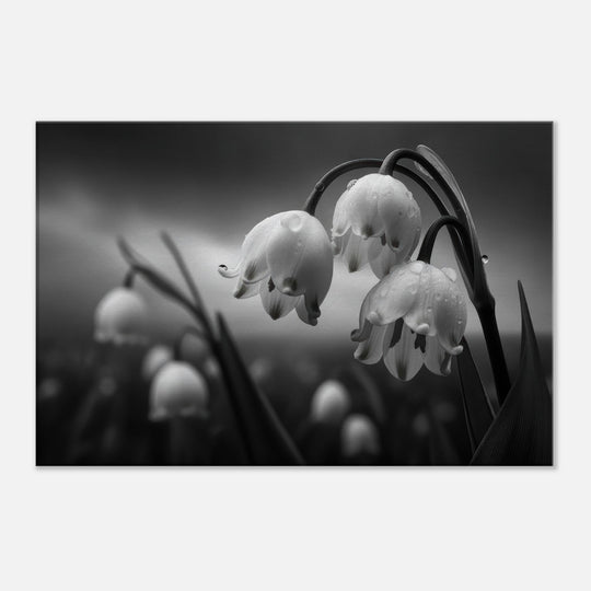 fdf520e8-bf9d-4093-bb05-033ba6fd47ec