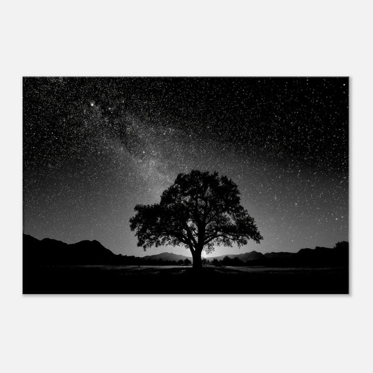 fe829366-a011-4337-8bd3-623446a4ef6d