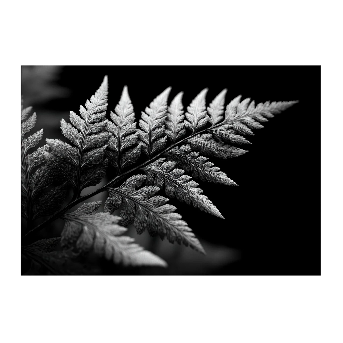 ff40973d-f402-4c2e-83c5-2f17ae223743