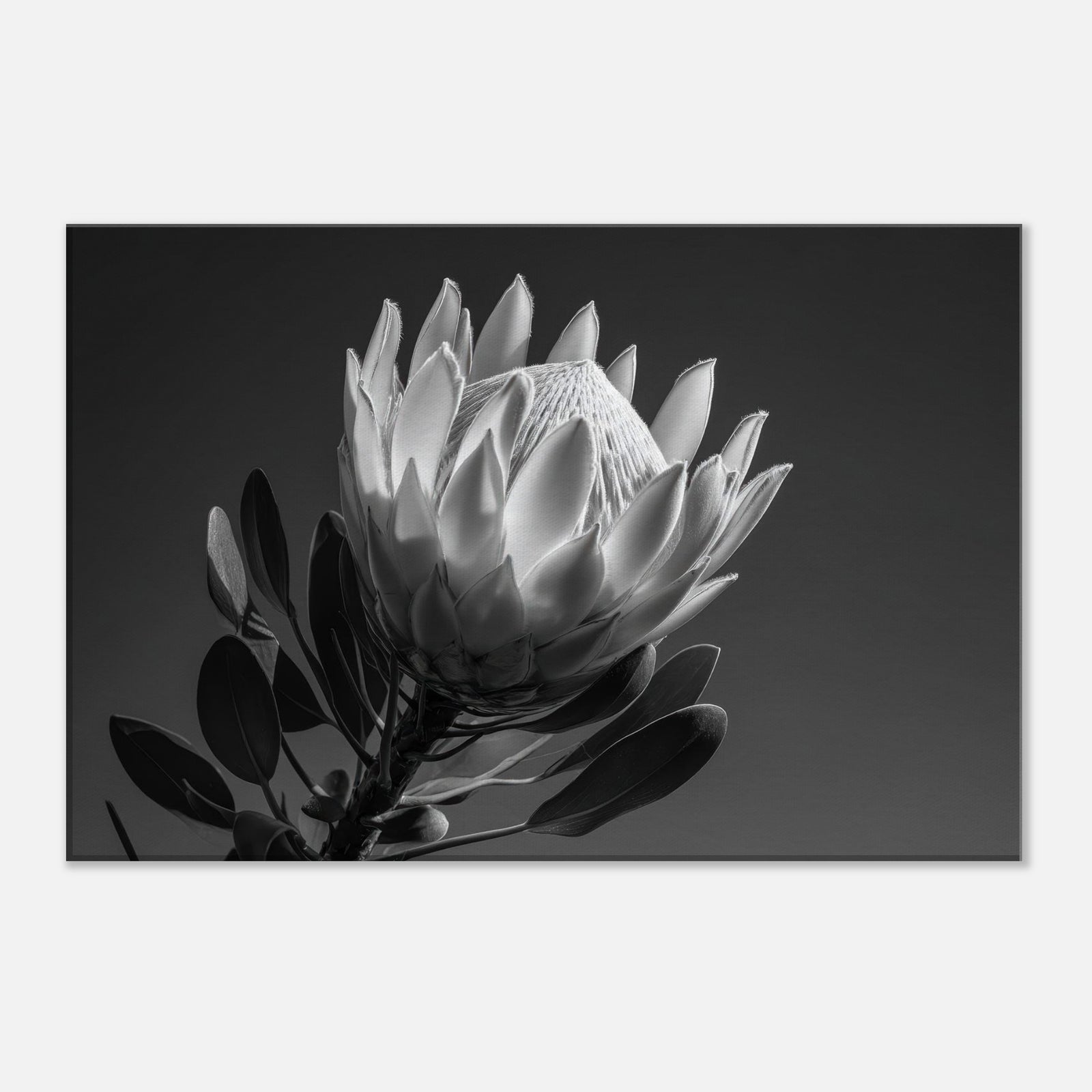 ff46bcd8-17d6-4382-b6f9-82eb4a0bf247