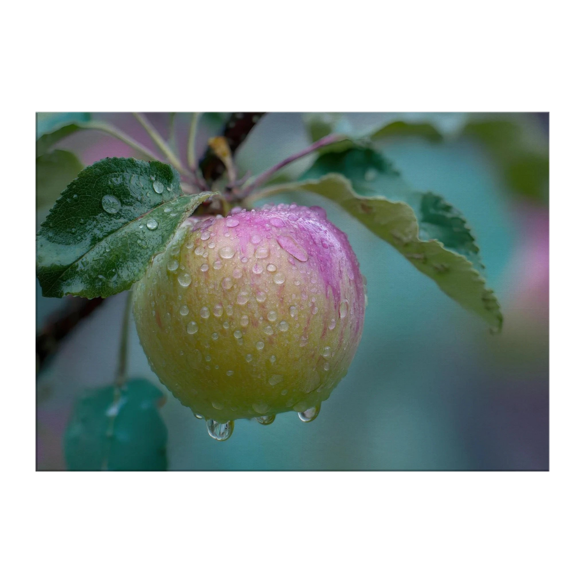 f32ef25f-ef29-470c-a9ff-e7e979cd2c01