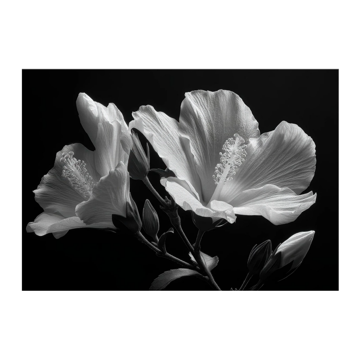4f002454-7c32-4a65-bf61-20e718163004
