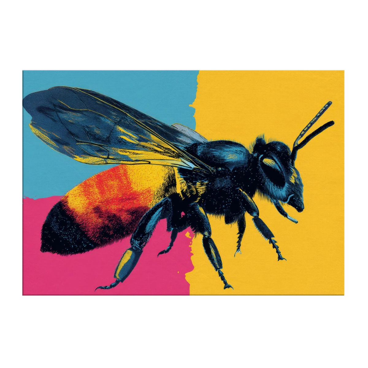 27769a68-1b81-450a-ac05-940ef274c631