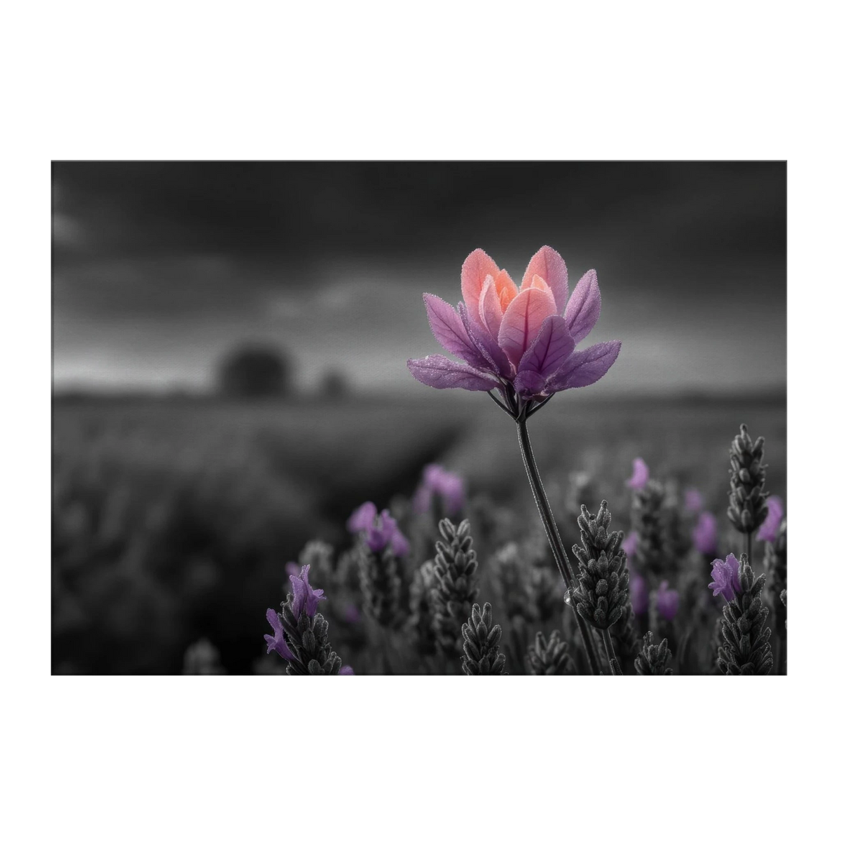 0f7951a0-84a2-4339-ab14-cc0737a7f9d9