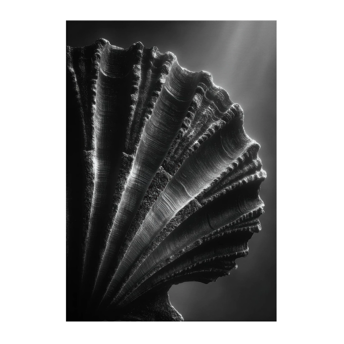 2d269b01-a75d-479a-aadb-052d63404101