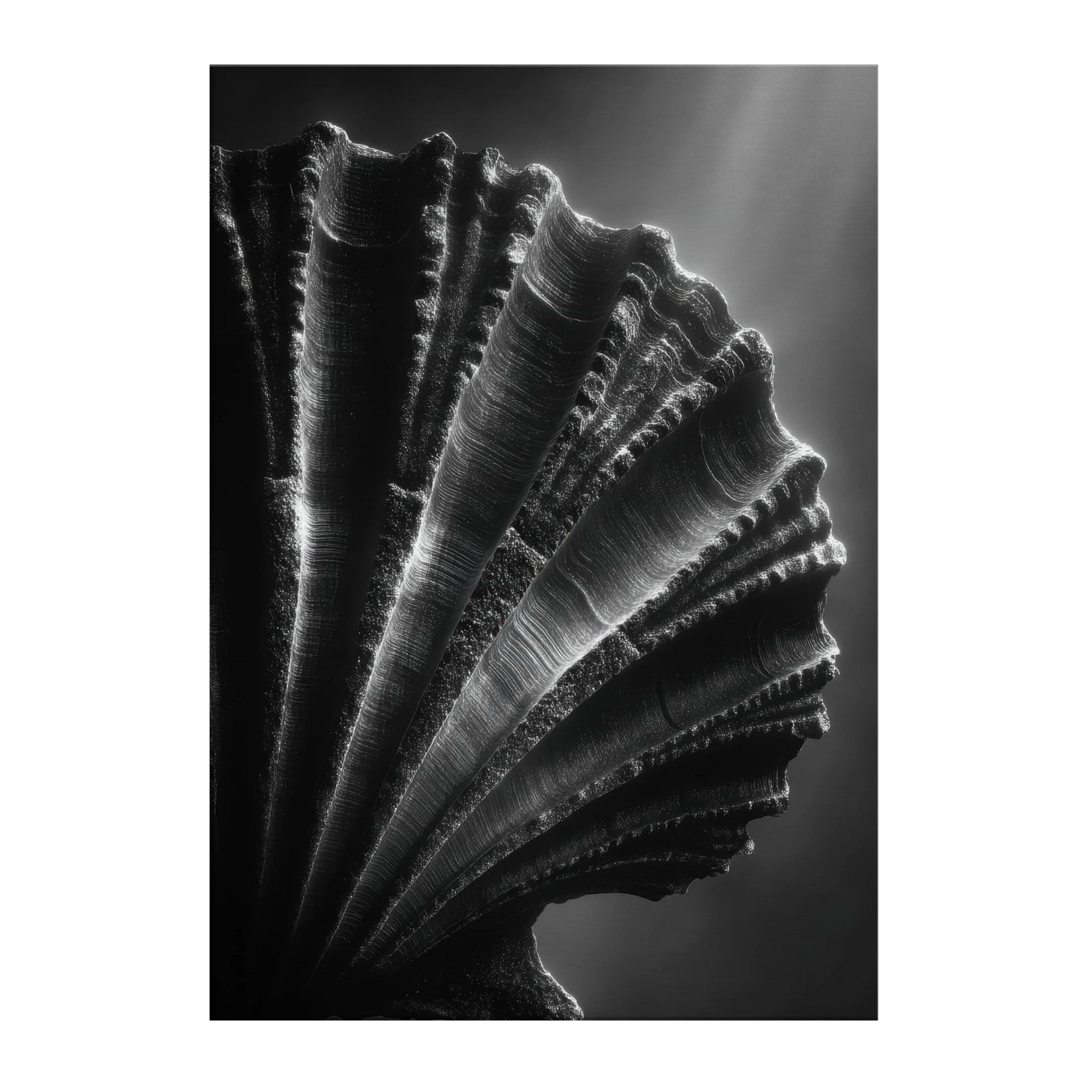 2d269b01-a75d-479a-aadb-052d63404101