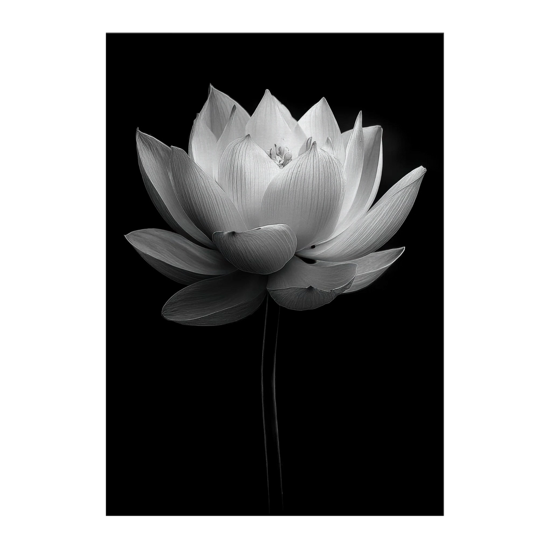 a8cf9556-936a-4a94-a526-b32d04ce60ed