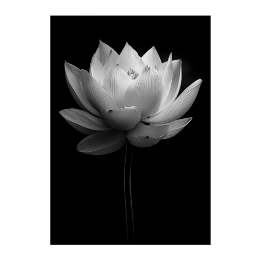 a8cf9556-936a-4a94-a526-b32d04ce60ed