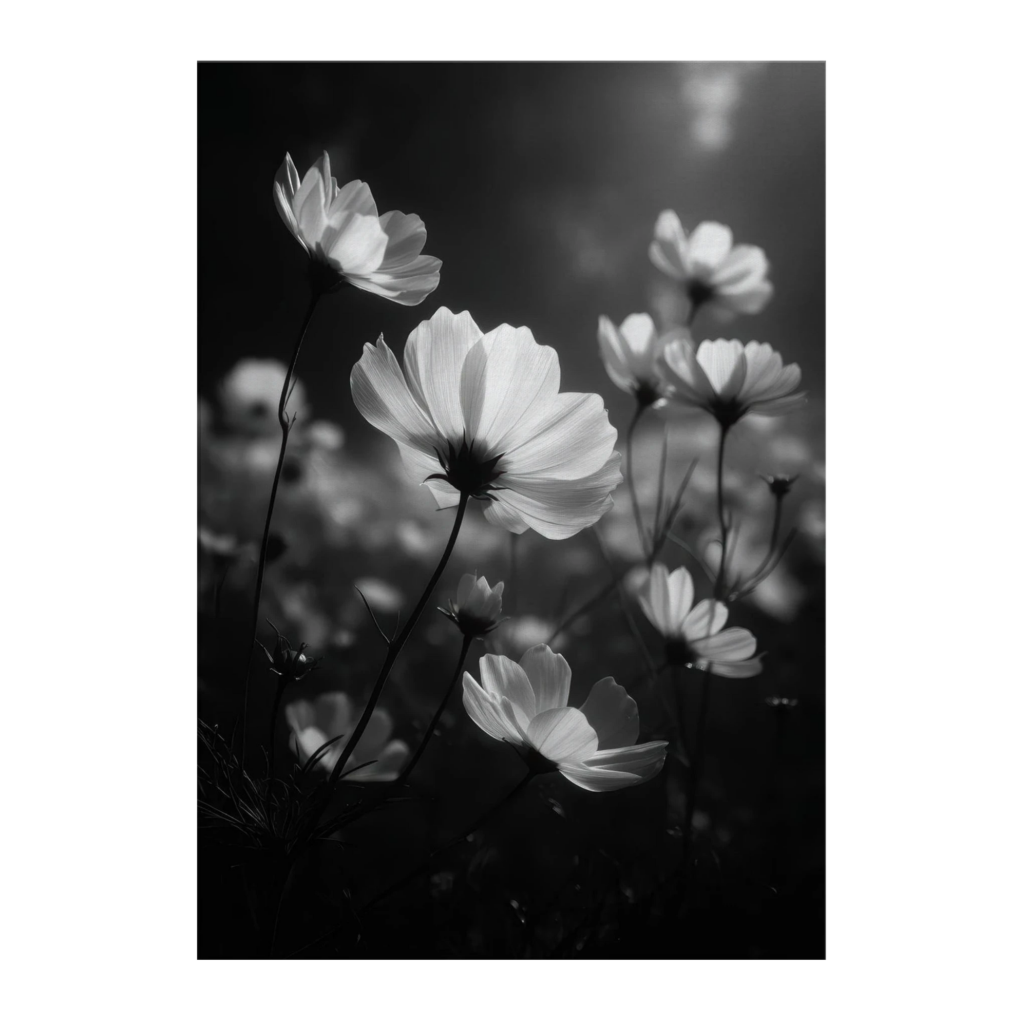 d626eb81-5030-4598-84f5-a394216fc8c7
