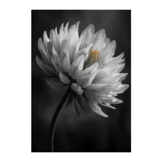 25261fbb-59a7-4e1d-b9e5-7c8538ef62c2