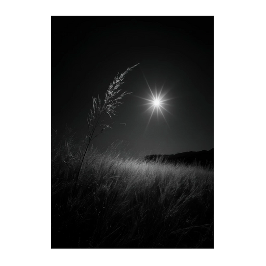 cefc51c7-a866-483e-b438-76df6c61530b