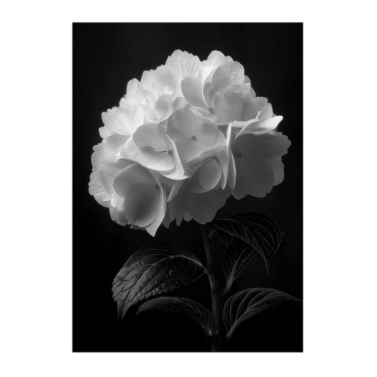 c35b1ef3-bf92-463b-bf03-39127e0dd449