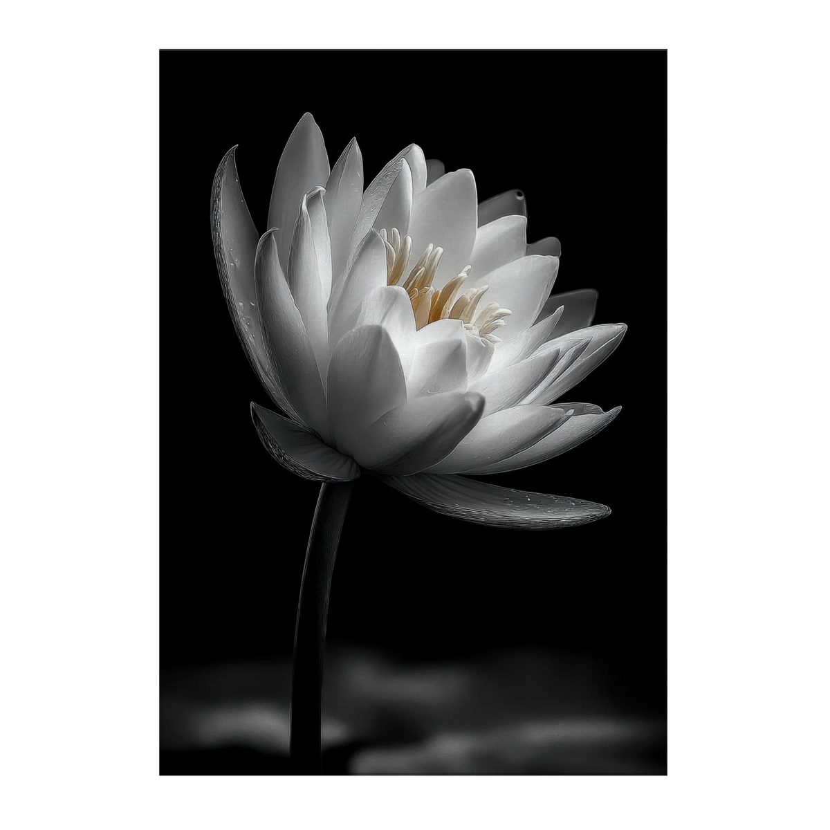 c34deb9d-bec7-4cc2-88a0-ce3d0b6c2e7f