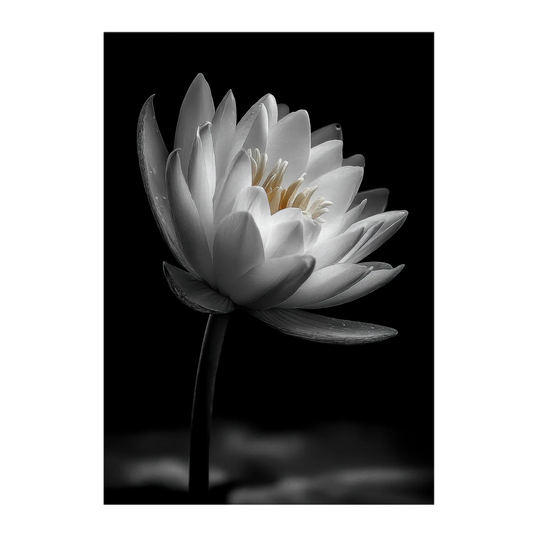 c34deb9d-bec7-4cc2-88a0-ce3d0b6c2e7f