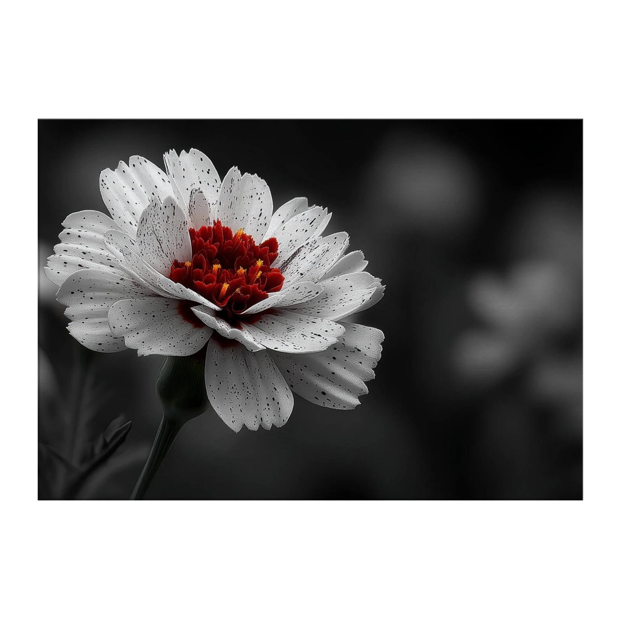 56aa59c2-ddd6-40e5-b50c-91510eb309f3