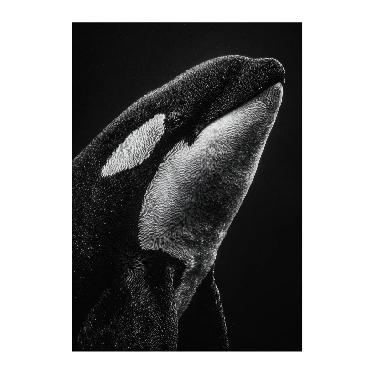 960e3bb6-c382-4aac-b4b9-ce26b0044c97