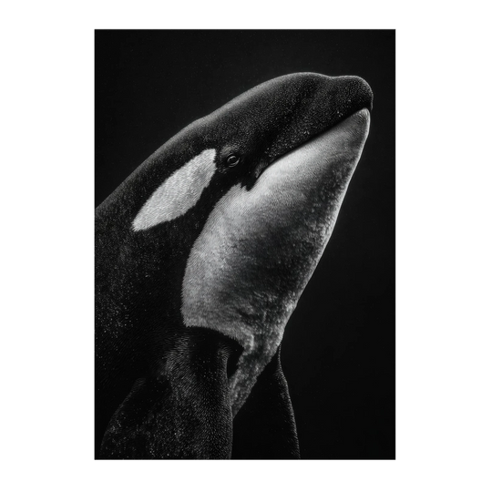 960e3bb6-c382-4aac-b4b9-ce26b0044c97