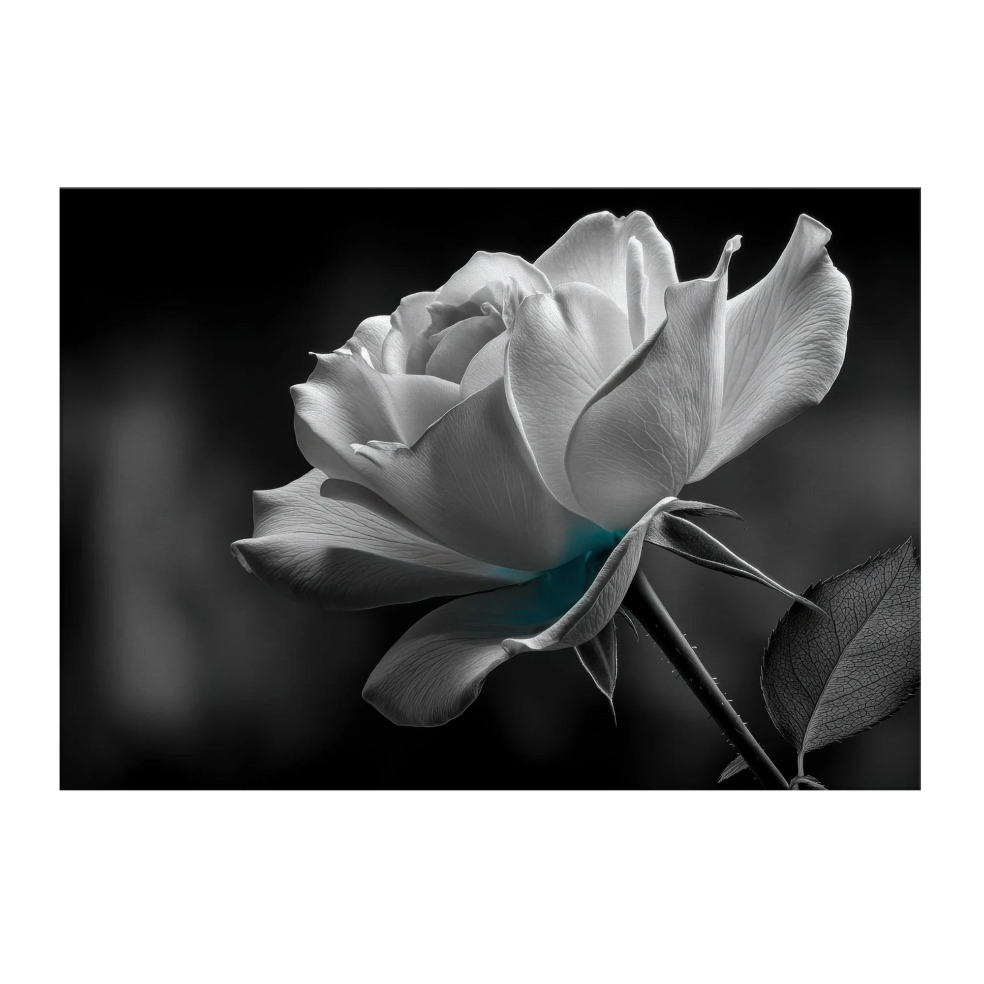 39089786-a141-4cc7-b73a-755083c75389