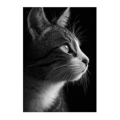 Black & White