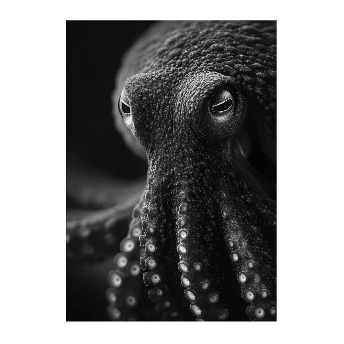 009c3453-d968-4ddb-b70e-ce82bf2f8704