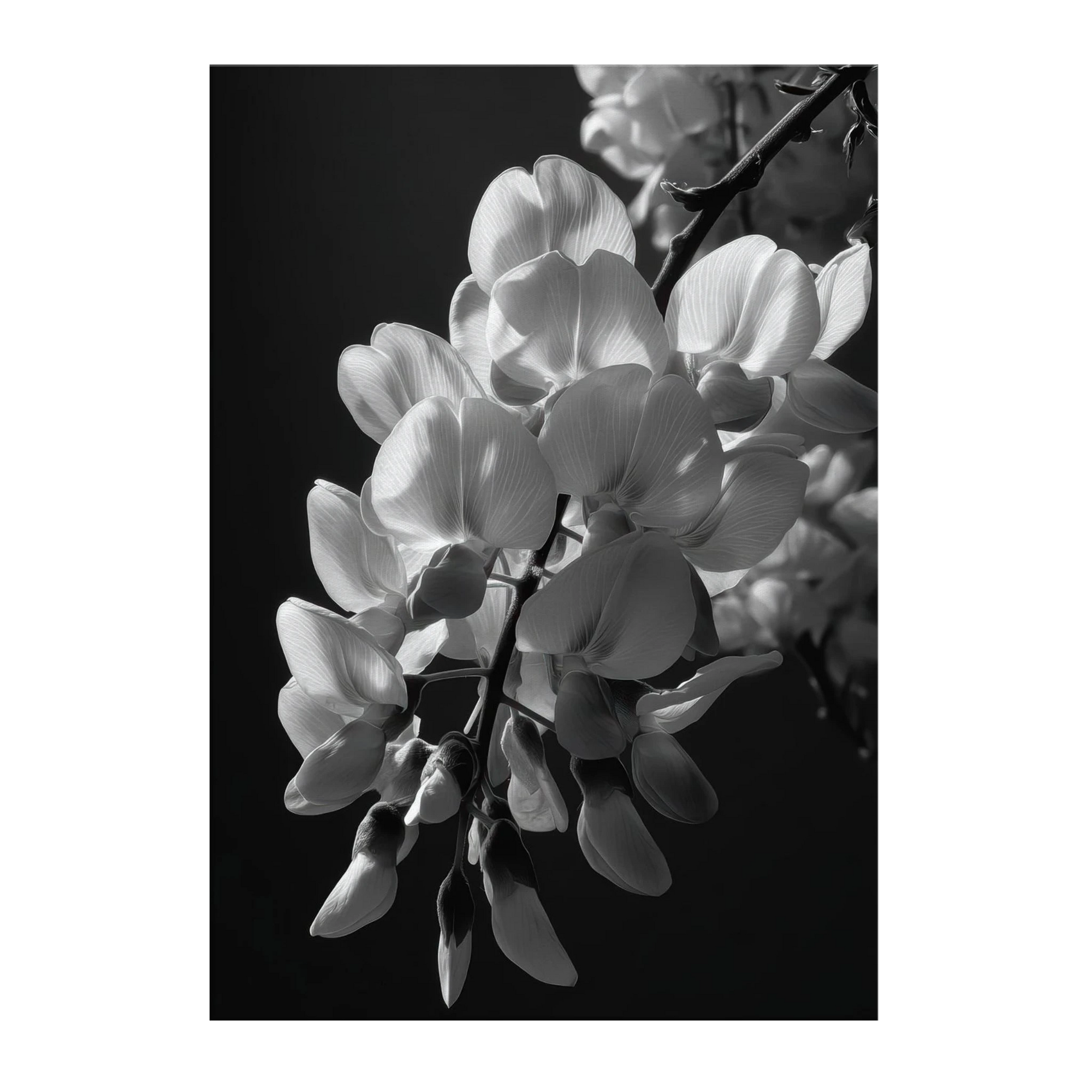 3c995ba1-55a4-4723-a75d-8c899e7707b1