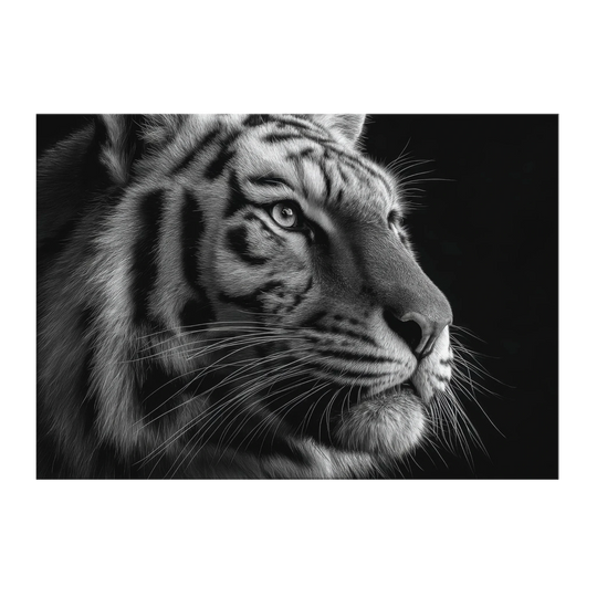 d6450736-e6d8-47a7-b462-b06f3f8f67bc