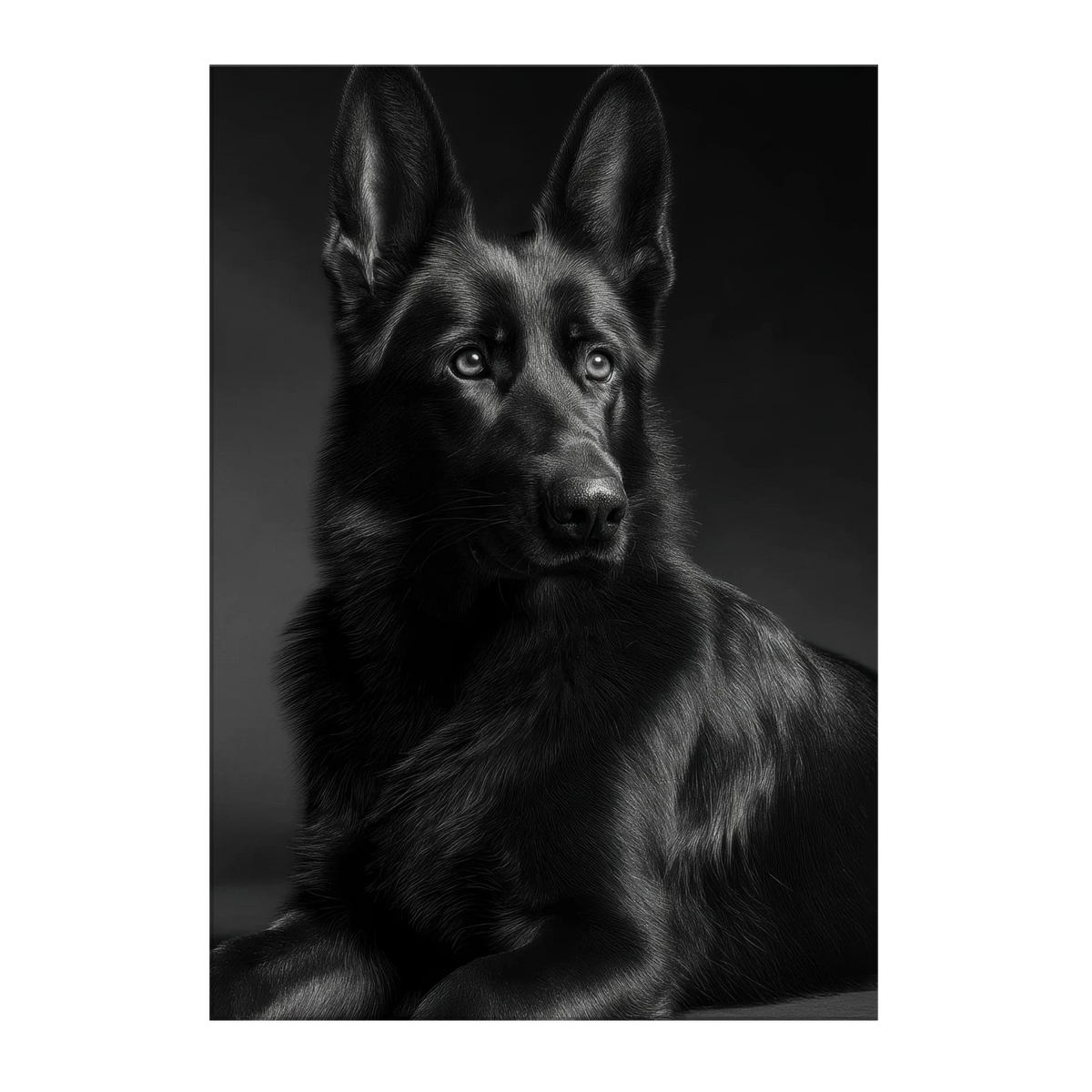 a6ed958f-0ff3-4fcd-b49a-8fd887d8c511
