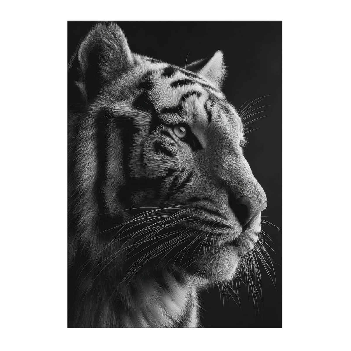 9e5f8c32-fb8b-4c67-a08f-7fe0c22e4b41