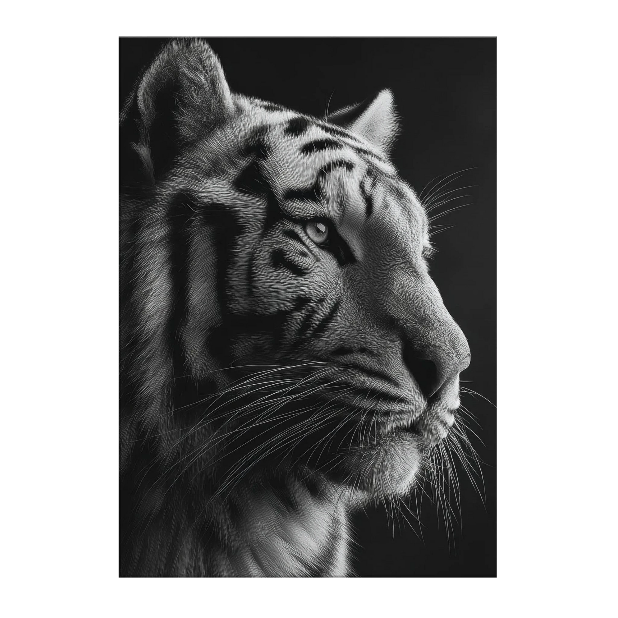 9e5f8c32-fb8b-4c67-a08f-7fe0c22e4b41