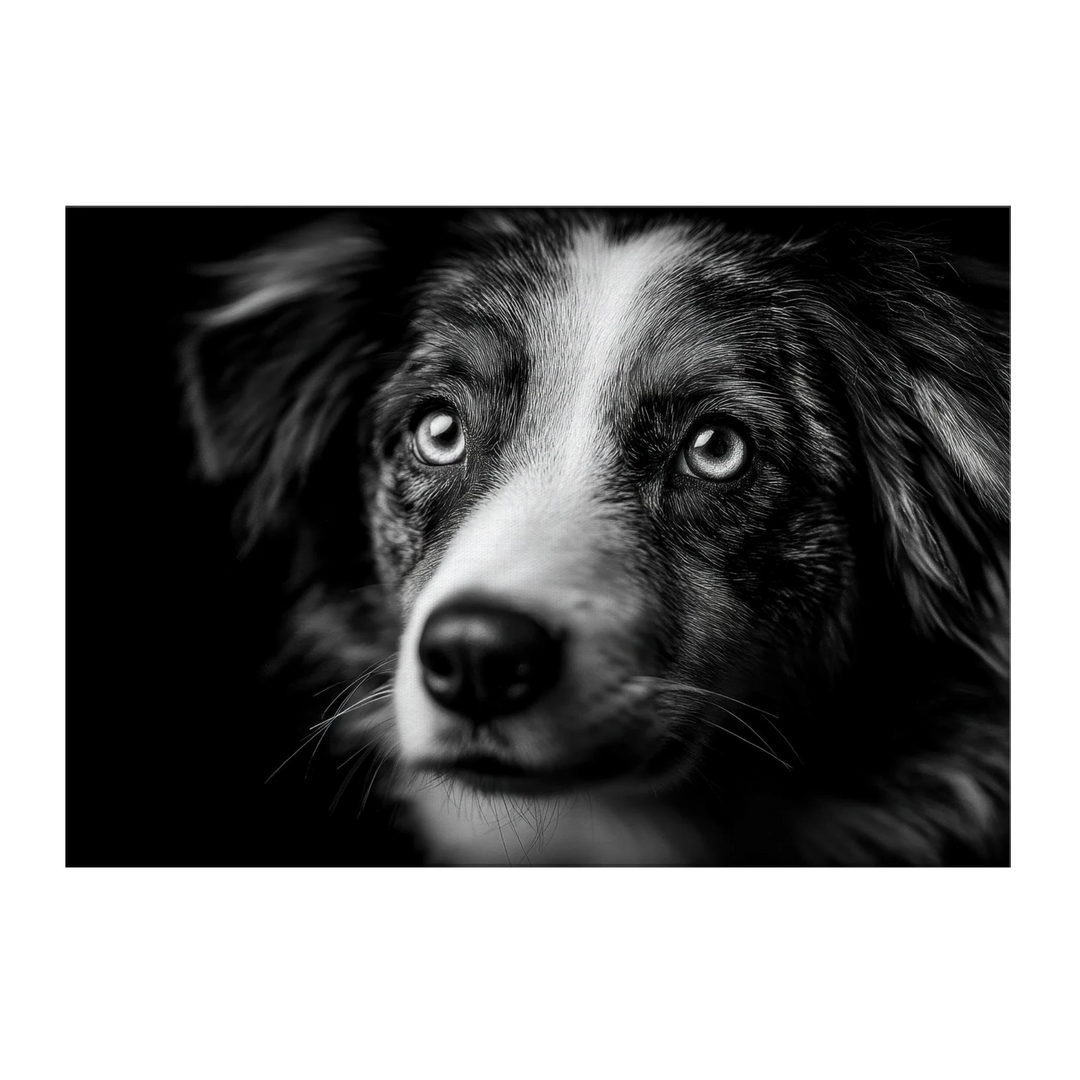 43f76693-2f3e-44d8-bd75-9f828b5d5eb6