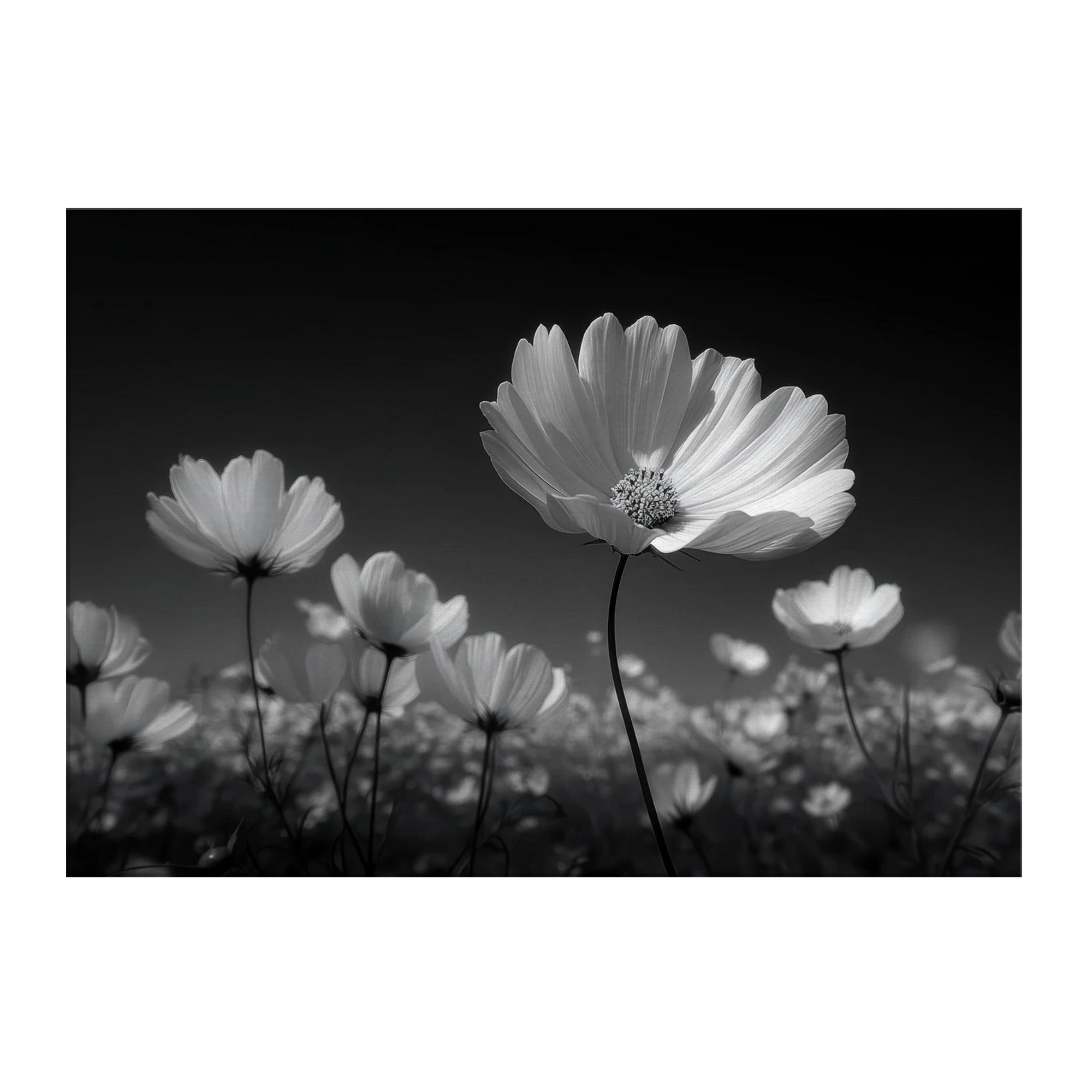 d86233f3-21e5-4a13-9a15-2585104120ab