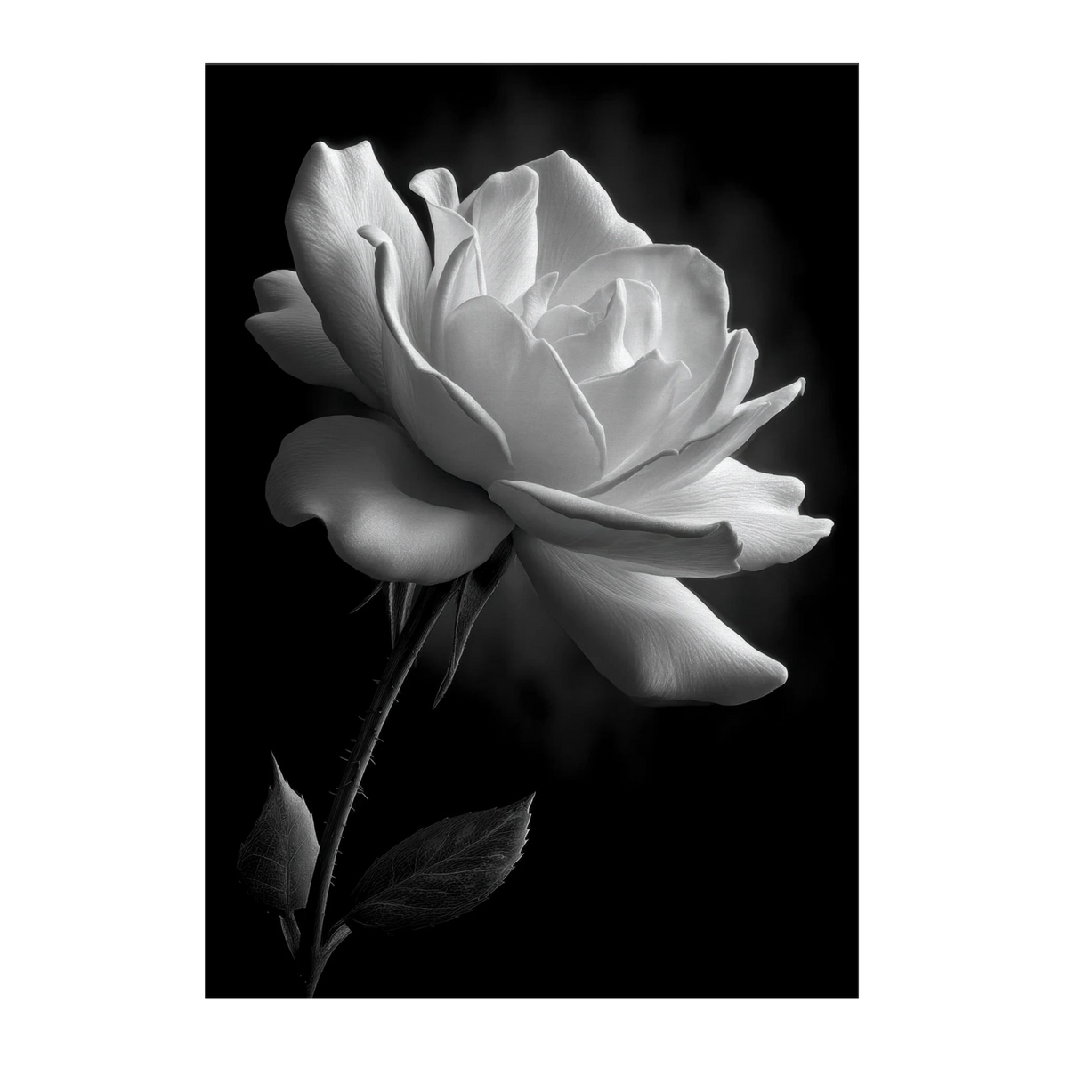 15e1a49f-b4cb-4758-84ba-db8725da7a8b
