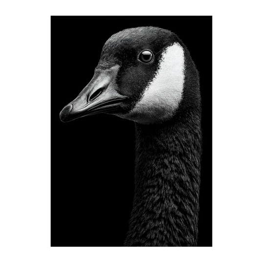 538432ef-1e40-414e-af6d-0067f032f79e